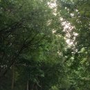 동인목장 | [홍천] 힐리언스 선마을 숲속동 숙박 후기 | 내돈내산 N번째 방문 | 조식+석식+부대시설+찜질+스파+요가