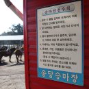 송당승마장 이미지