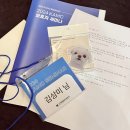 고려동물병원 | 강아지 PLE IBD 이해하기, 청주 고려동물병원 세미나 후기