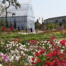 샛별농장 이미지