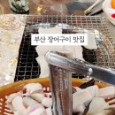 하얀등대이모야 이미지