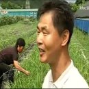 정민농장 이미지