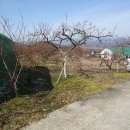 이창호공인중개사사무소 이미지