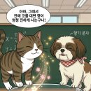 수학을담다