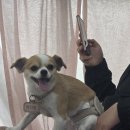 해뷰 | 사진첩에 박다봉 뿐인 내 일상 ♪(´ε｀*)