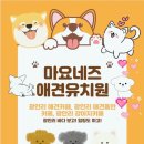 도토리 강아지 유치원 | [광안리 애견카페]마요네즈 애견유치원