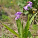 금창초등학교 이미지