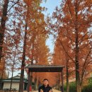 랜드사랑공인중개사사무소 이미지