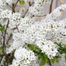 진건오남로797번길21-15 이미지