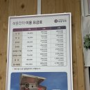 엄마랑아이스 | 광주 쑥뜸천하 화정점에서 엄마랑 뜸 솔직후기