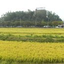 궐리사 화장실 이미지