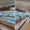 도그마루 강아지 고양이 부산점 이미지