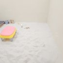 꼬마대통령 이미지