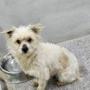 안정로14번길 이미지