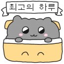 반딧불청과 이미지
