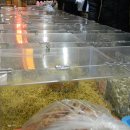 마산건어물마트 이미지