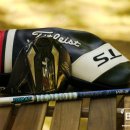 6-147 TS | 타이틀리스트 TS 2 드라이버 + 디아마나 D-리미티드 5S(Titleist TS 2 Driver + Diamana D-Limited 5S...