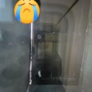 헤라미장 | 영화빌라 반지하 세대 벌레유입 차단 및 창틀누수 예방 시공 후기｜바닥방수 미장공사 &amp; 창틀실리콘 작업