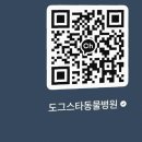 도그스타동물병원 이미지