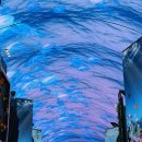 인스파이어 아레나 | [콘서트] 우즈 Archive.1 인천 인스파이어 아레나 첫콘 후기