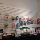 밀크숑 애견샵 이미지