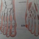 봄내한의원 이미지