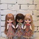 네오멤버스 이미지