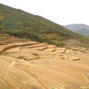 산내면 상황마을 이미지