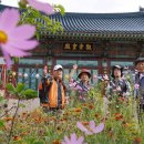 대머리민박 이미지