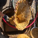 오수정육점 | 창원 마산 지귀동과 팔용동 인근 혼합상가 오수·하수관 막힘 통수 작업 현장 스토리