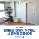 아름채 | 기장아파트청소 기장아름채 반려동물 털제거 거주청소 후기!