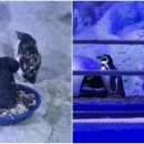 봉비농장 이미지