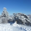 2026. 01. 08[목요일] 제 169차 강원 태백산 눈꽃트레킹 이미지