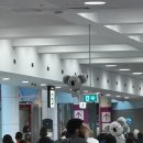 젯스타 진짜 지연 많을까? 시드니에서 젯스타 지연 후기, 보상받는 방법, 레그룸 후기