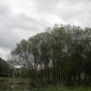 정양늪생명길 이미지