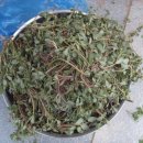 병환농장 이미지