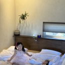 스테이 알오에이 이미지