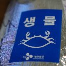 창원삼부자네