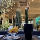 커피 선인장(suninjang) | [ 선인장커피바 ] 선인장이 가득한 이색 카페 (메뉴/내부/디카페인/요거트아이스크림)