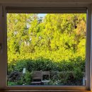 스테이3355 이미지