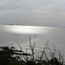 사화로-1 이미지