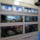 경아해물 네이버블로그
