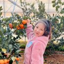 수곡농원 이미지