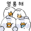 엠 블룸 스튜디오