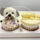 오늘뿐이개 이미지