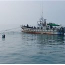 연평해양경찰서 이미지