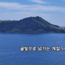 귤빛
