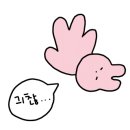 에스지푸드논현역마리야