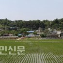 동촌2리 이미지