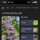 The Park(뷔페식당) 이미지